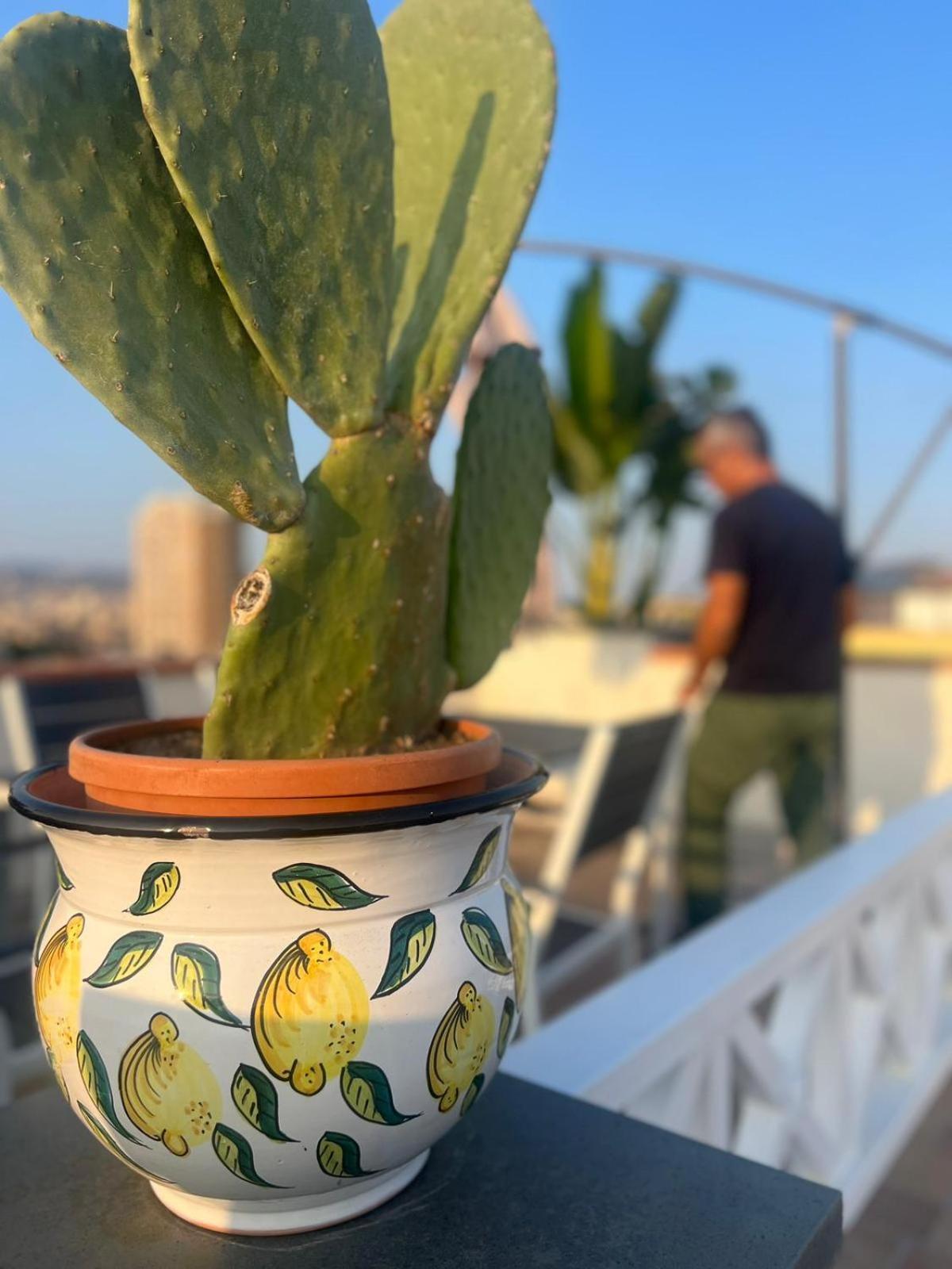 카타니아 La Terrazza Sul Cielo 아파트 외부 사진